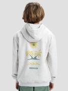 Quiksilver Graphic Kids Hættetrøje grå