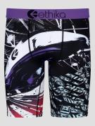 Ethika Money Pit Boksershorts mønster