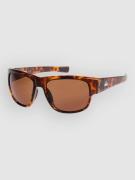 Quiksilver Time Box Shiny Tortoise Solbriller brun
