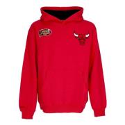 Chicago Bulls Vintage Logo Hoodie