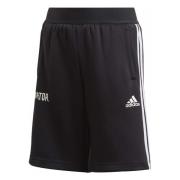 3 Striber Shorts