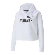 Cropped Logo Hoodie