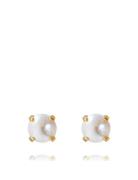 Classic Stud Earring Accessories Jewellery Earrings Studs Gold Carolin...