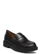 D Spherica Ec1 A Loafers Flade Sko Black GEOX