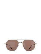 Chase Gold Brown Pilotbriller Solbriller Brown Corlin Eyewear