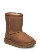 T Classic Ii Boots Støvler Brown UGG