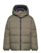 Puffer Jacket Foret Jakke Khaki Green Timberland