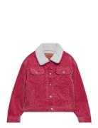 Levi's® Baggy Corduroy Trucker Jacket Bomberjakke Pink Levi's