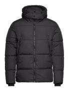 Cfwilson 0085 Short Puffer Jacket Foret Jakke Black Casual Friday