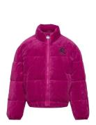 Juicy Velour Puffa Foret Jakke Purple Juicy Couture