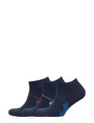 Big Pony Sock 3-Pack Ankelstrømper Korte Strømper Blue Polo Ralph Laur...