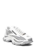 Zoomz Sneaker Low-top Sneakers White Steve Madden