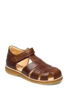 Sandals - Flat - Closed Toe Shoes Summer Shoes Sandals Brown ANGULUS