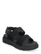 Greyfield Sandal Backstrap Sandal Black Suede Flade Sandaler Black Tim...