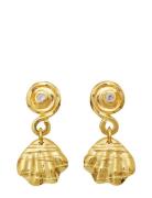 Conca Earring Ørestickere Smykker Gold Maanesten