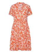 Edasz Ss Dress Knælang Kjole Orange Saint Tropez