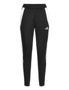 Tiro24 Trptw Sport Sport Pants Black Adidas Performance