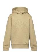 Tonal Shield Hoodie Tops Sweatshirts & Hoodies Hoodies Khaki Green GAN...