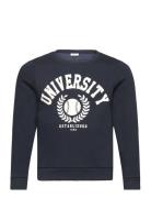 Nkntille Ls Sweat Bru Noos Tops Sweatshirts & Hoodies Sweatshirts Navy...