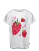 Fragola T-Shirt Tops T-Kortærmet Skjorte Multi/patterned Ma-ia Family