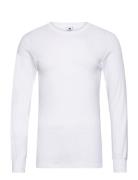 Dovre T-Shirts 1/1 Ærme Organi Underwear Night & Loungewear Pyjama Top...