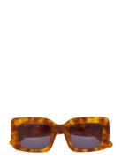 West Havana Black Firkantede Solbriller Brown Corlin Eyewear