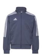 J Hot Ttop Sport Sweatshirts & Hoodies Sweatshirts Blue Adidas Perform...