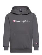 Hooded Sweatshirt Sport Sweatshirts & Hoodies Hoodies Grey Champion