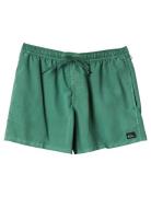 Everyday Surfwash Volley 15 Badeshorts Green Quiksilver