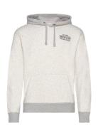 Hco. Guys Sweatshirts Tops Sweatshirts & Hoodies Hoodies Grey Holliste...