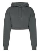 Studio Over D Cropped Hoodie Tops Sweatshirts & Hoodies Hoodies Grey B...