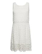 Dress Lace Skater Dresses & Skirts Dresses Casual Dresses Sleeveless C...