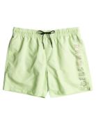 All Day Heritage Lb Badeshorts Green Billabong