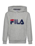 Baj Classic Logo Hoody Sport Sweatshirts & Hoodies Hoodies Grey FILA