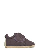 Indoor Shoe Sasha Slippers Hjemmesko Purple Wheat