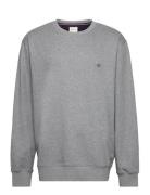 Reg Shield C-Neck Sweat Tops Sweatshirts & Hoodies Sweatshirts Grey GA...