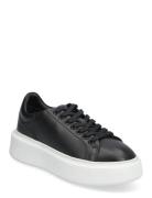 Sport Low-top Sneakers Black Billi Bi