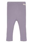 Leggings Pointelle Bottoms Leggings Purple Fixoni