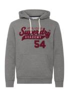 Athletic Script Graphic Hoodie Tops Sweatshirts & Hoodies Hoodies Grey...