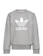 Trefoil Crew Tops Sweatshirts & Hoodies Sweatshirts Grey Adidas Origin...