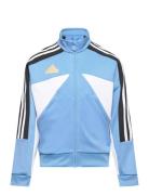 J Np Ttop Tops Sweatshirts & Hoodies Sweatshirts Blue Adidas Sportswea...