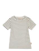 T-Shirt S/S Modal Striped Tops T-Kortærmet Skjorte Blue Petit Piao