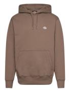 Summerdale Hoodie Tops Sweatshirts & Hoodies Hoodies Brown Dickies