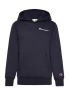 Hooded Sweatshirt Tops Sweatshirts & Hoodies Hoodies Navy Champion