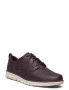 Low Lace Up Sneaker Low-top Sneakers Brown Timberland