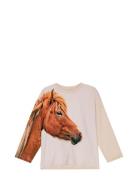 Mountoo Tops T-shirts Long-sleeved T-Skjorte Beige Molo