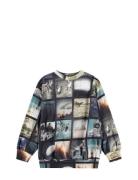 Monti Tops Sweatshirts & Hoodies Sweatshirts Multi/patterned Molo