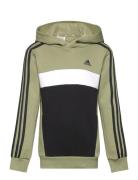 J 3S Tib Fl Hd Tops Sweatshirts & Hoodies Hoodies Khaki Green Adidas S...