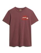 Great Outdoor Chest Graphc Tee Tops T-Kortærmet Skjorte Brown Superdry