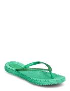 Flipflop With Glitter Shoes Summer Shoes Sandals Flip Flops Green Ilse...